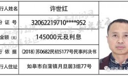 如皋新闻爆料渠道有哪些,多元途径，共筑信息桥梁
